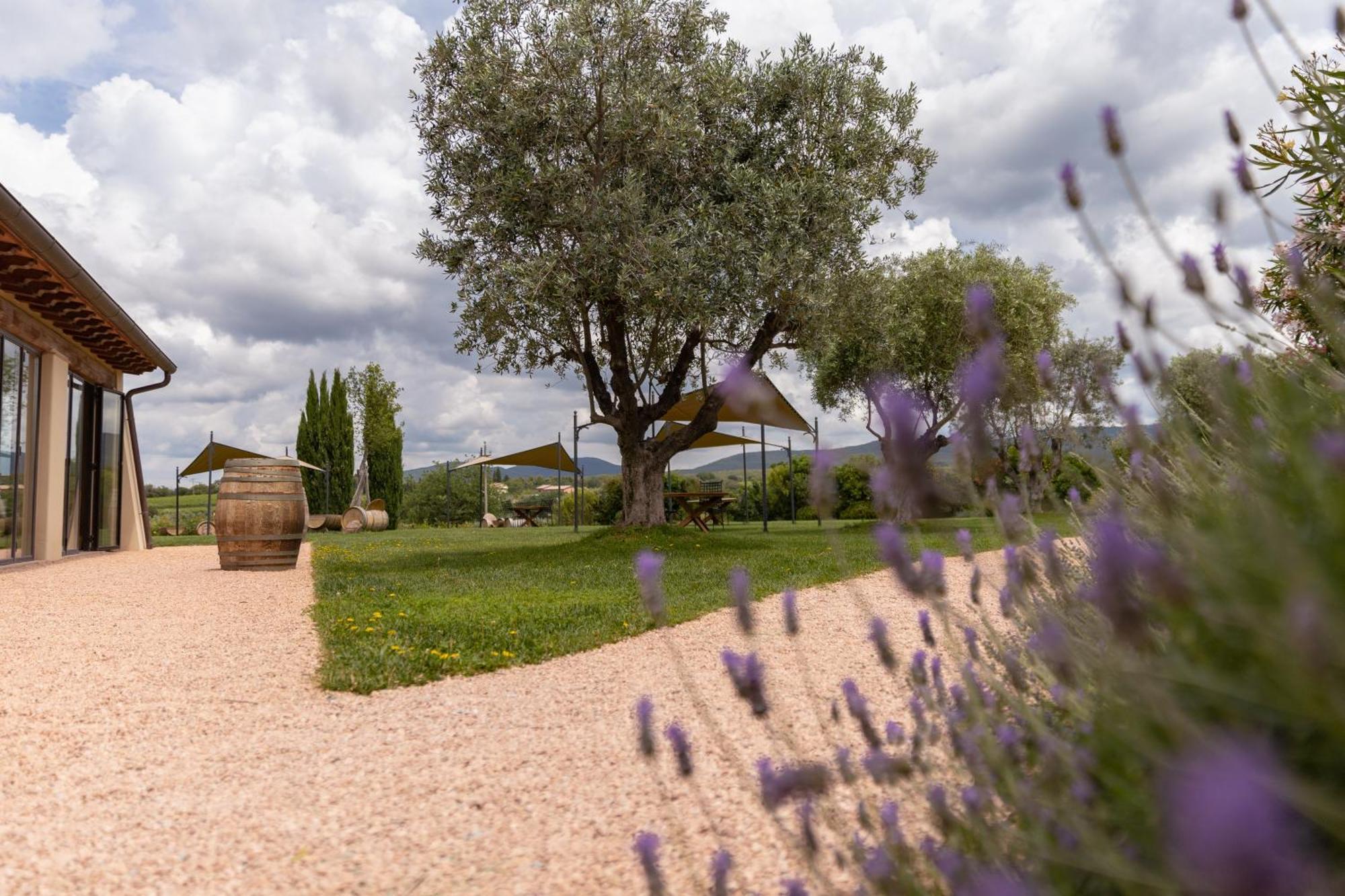 Locanda dell'Aioncino Bibbona Exterior foto